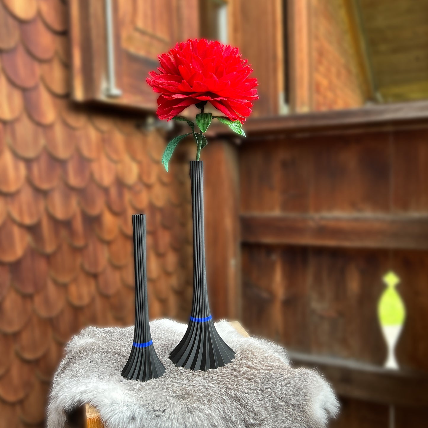 Rosa