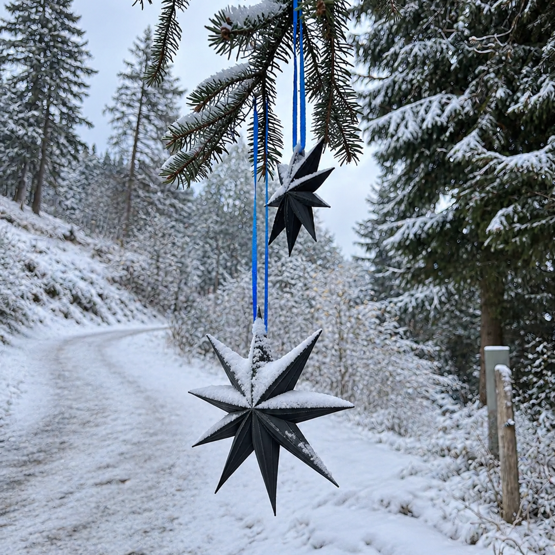 Wälder STERN